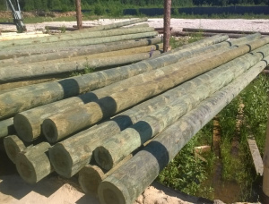Scots Pine Wood utility poles 18 mm x 6.5 m