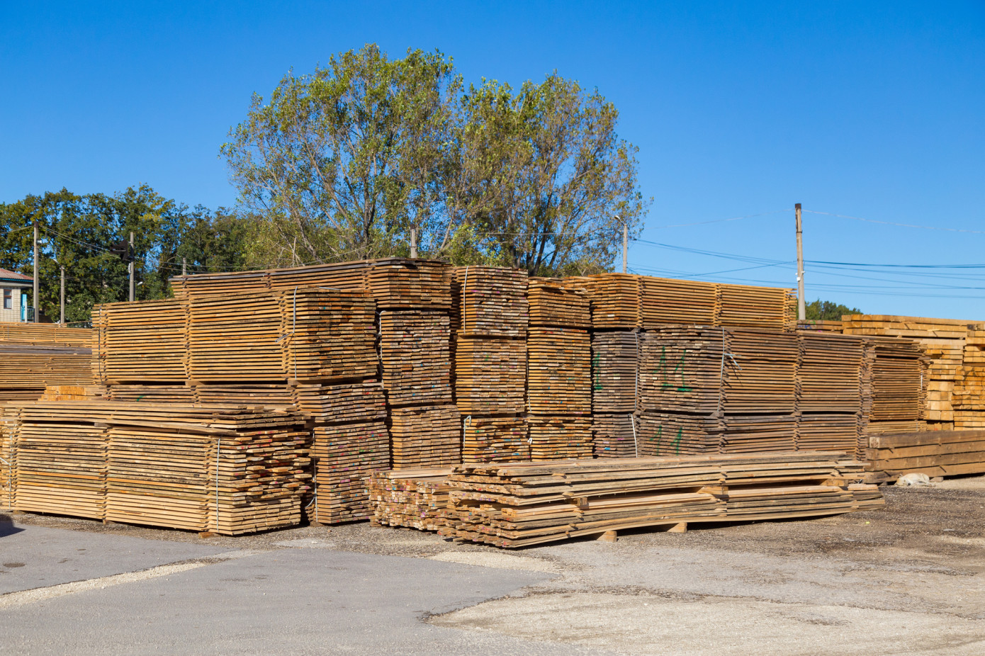 Exports of lumber from New Zealand increase 32% in August