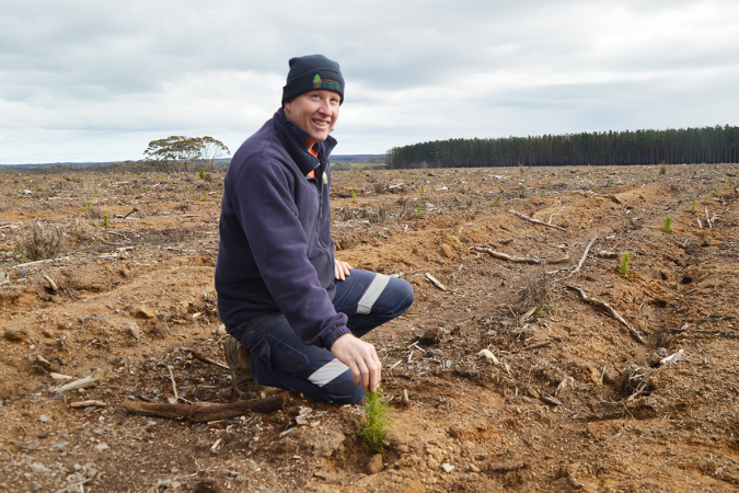 KIPT completed its first replanting following summer bushfires