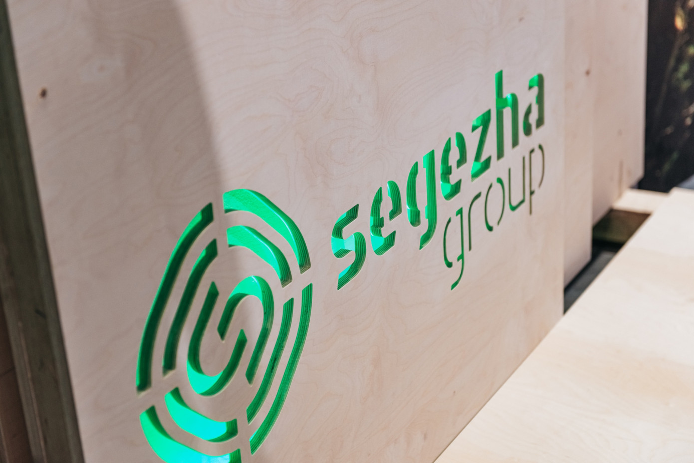 Segezha Group рассчитывает удвоить показатель OIBDA по итогам 2024 г.