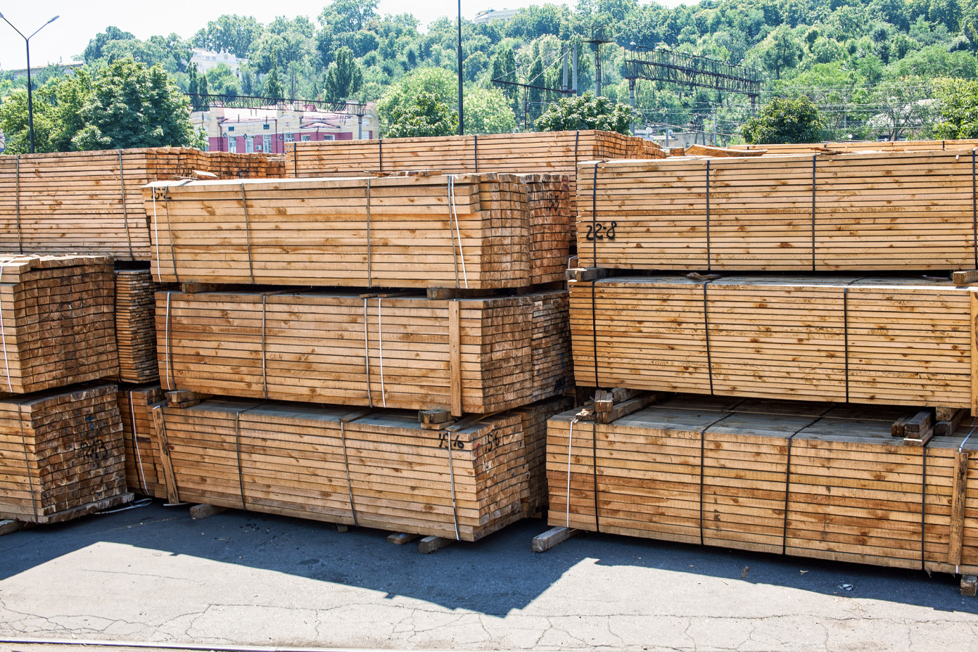 North American lumber sales volumes stable as autumn approaches