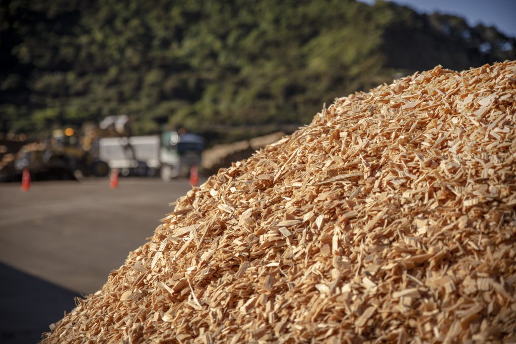 OneFortyOne’s Kaituna sawmill to export woodchip to Japan