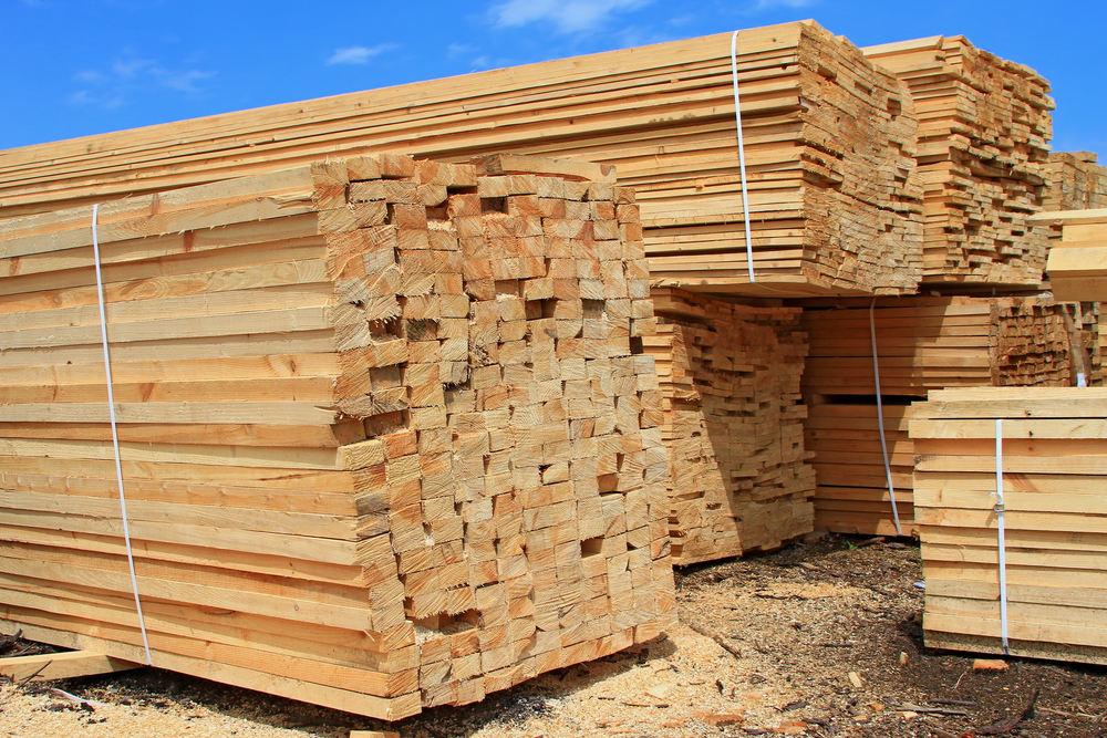 New Zealand’s exports of lumber rise 24% in 2024