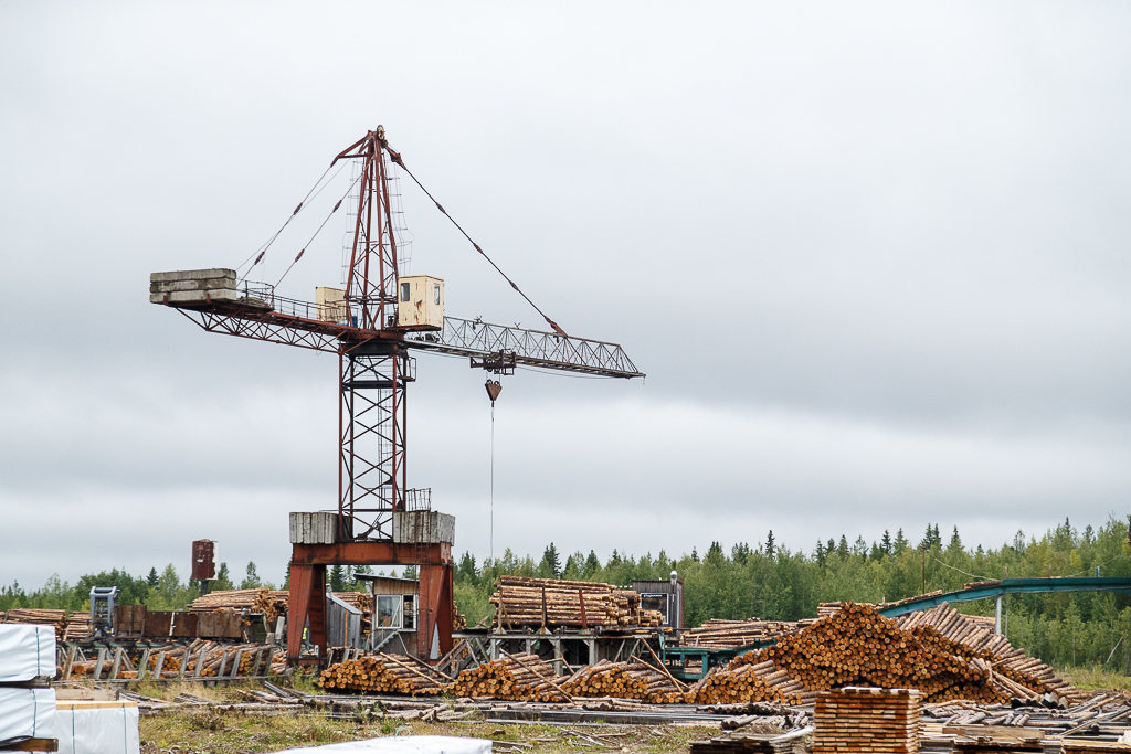 В Республике Коми предприятие «Азимут» введет в эксплуатацию новые линии сортировки и лесопиления