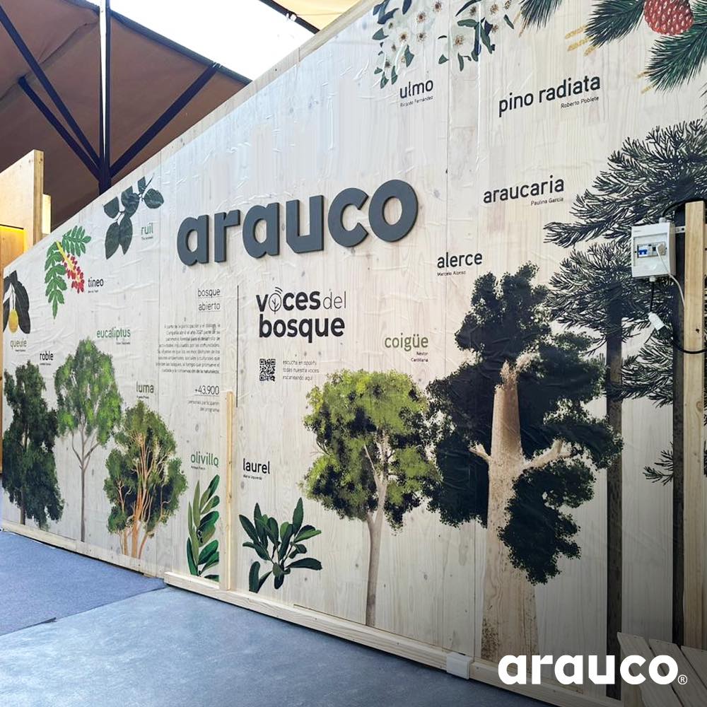 В 4 кв. 2024 г. выручка Arauco выросла на 5,9%