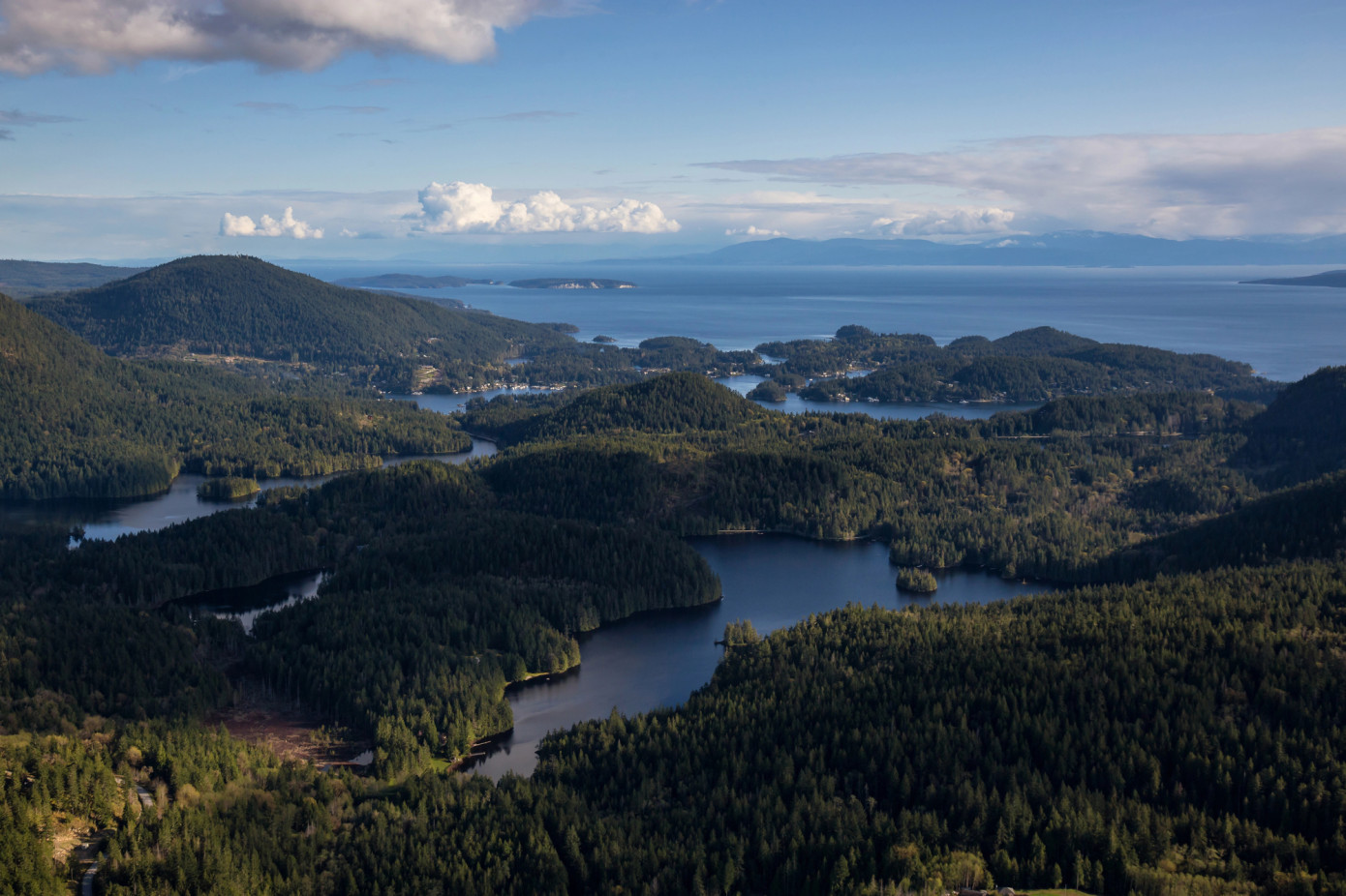 British Columbia reduces allowable annual cut for Sunshine Coast Timber Supply Area