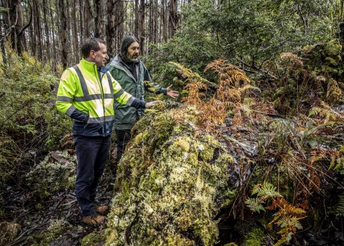 Tasmanian company Forico achieves FSC Ecosystem Services certification