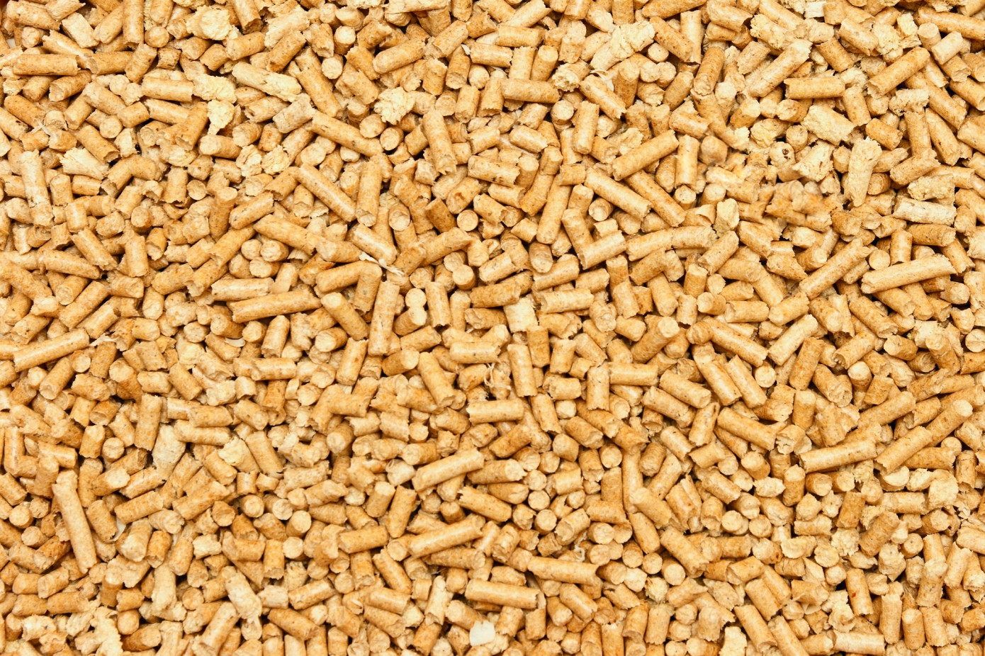 In January, Denmark import wood pellets price jumps 25.3%