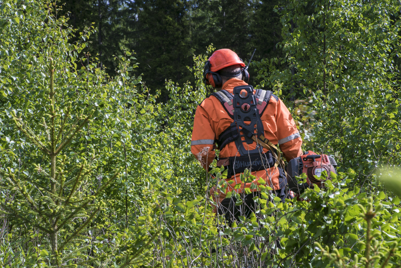 UPM Fibres may cut 110 jobs in Finland