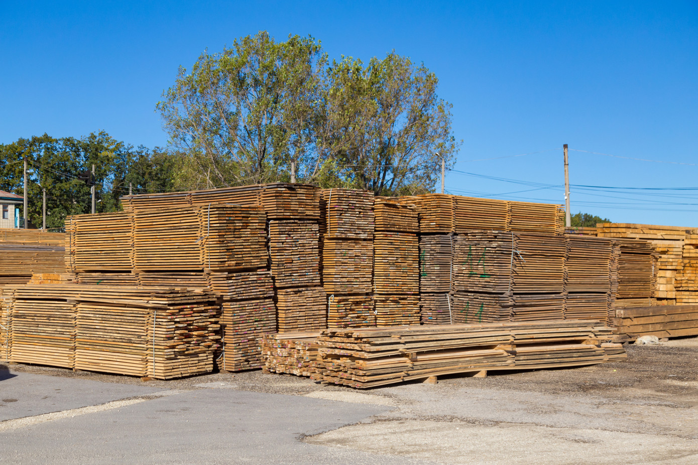 Exports of lumber from Thailand expand 26% in April