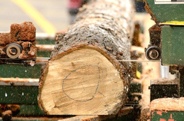 Canadian lumber production decreased by 6.1% in September