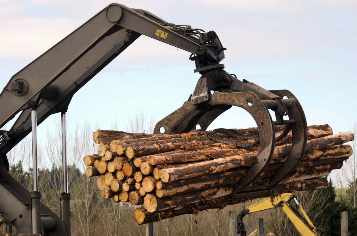 Swedish forest felling notifications rise 2% in October