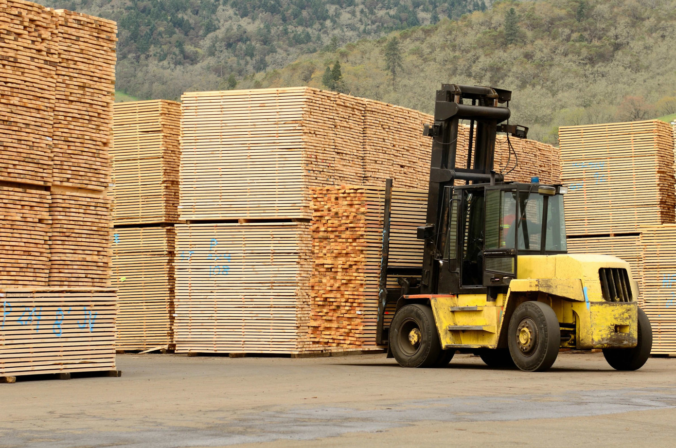 Canadian lumber production and shipments continue to rise in March