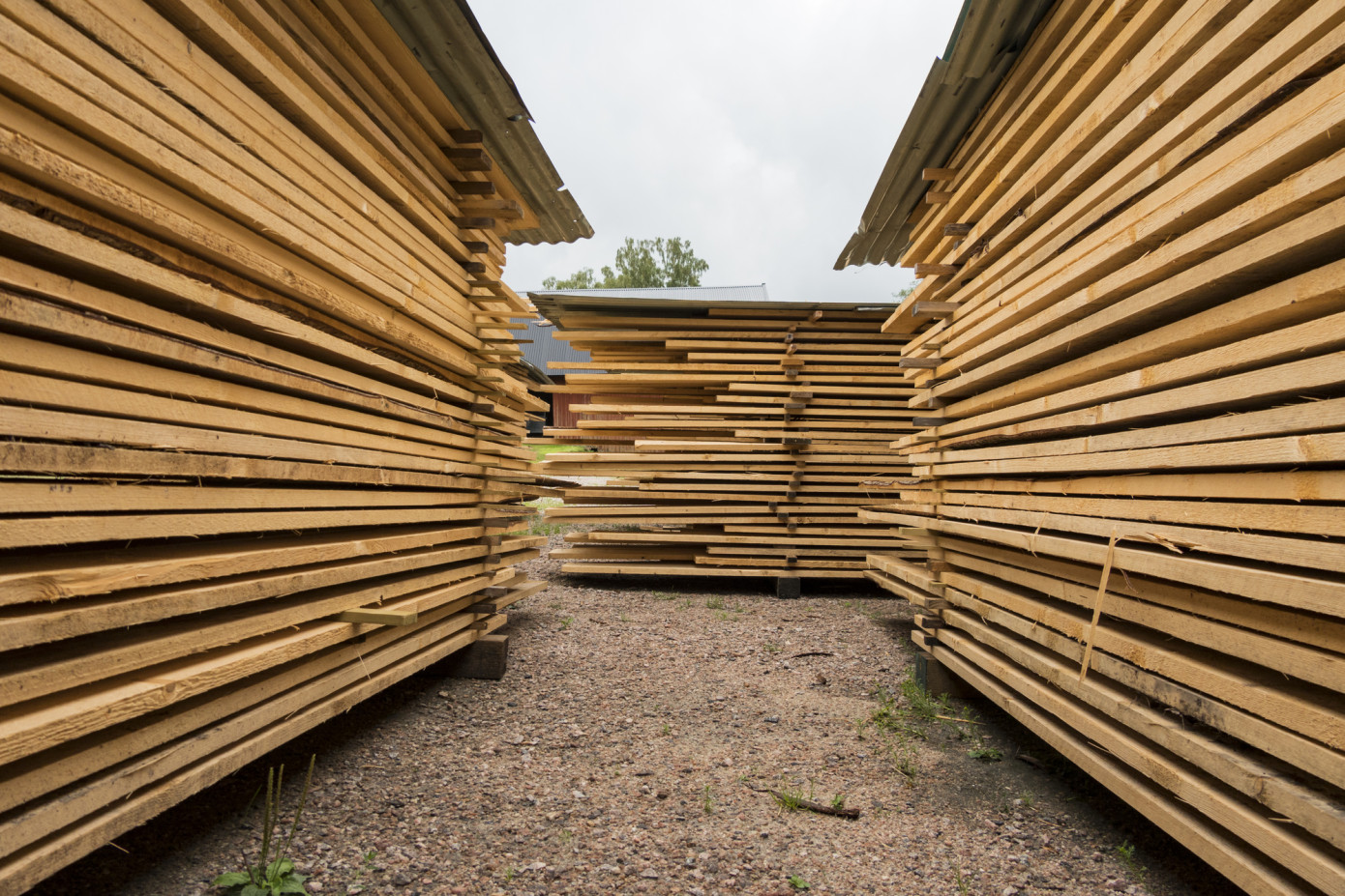 Sweden increases lumber exports by 31% from January to September