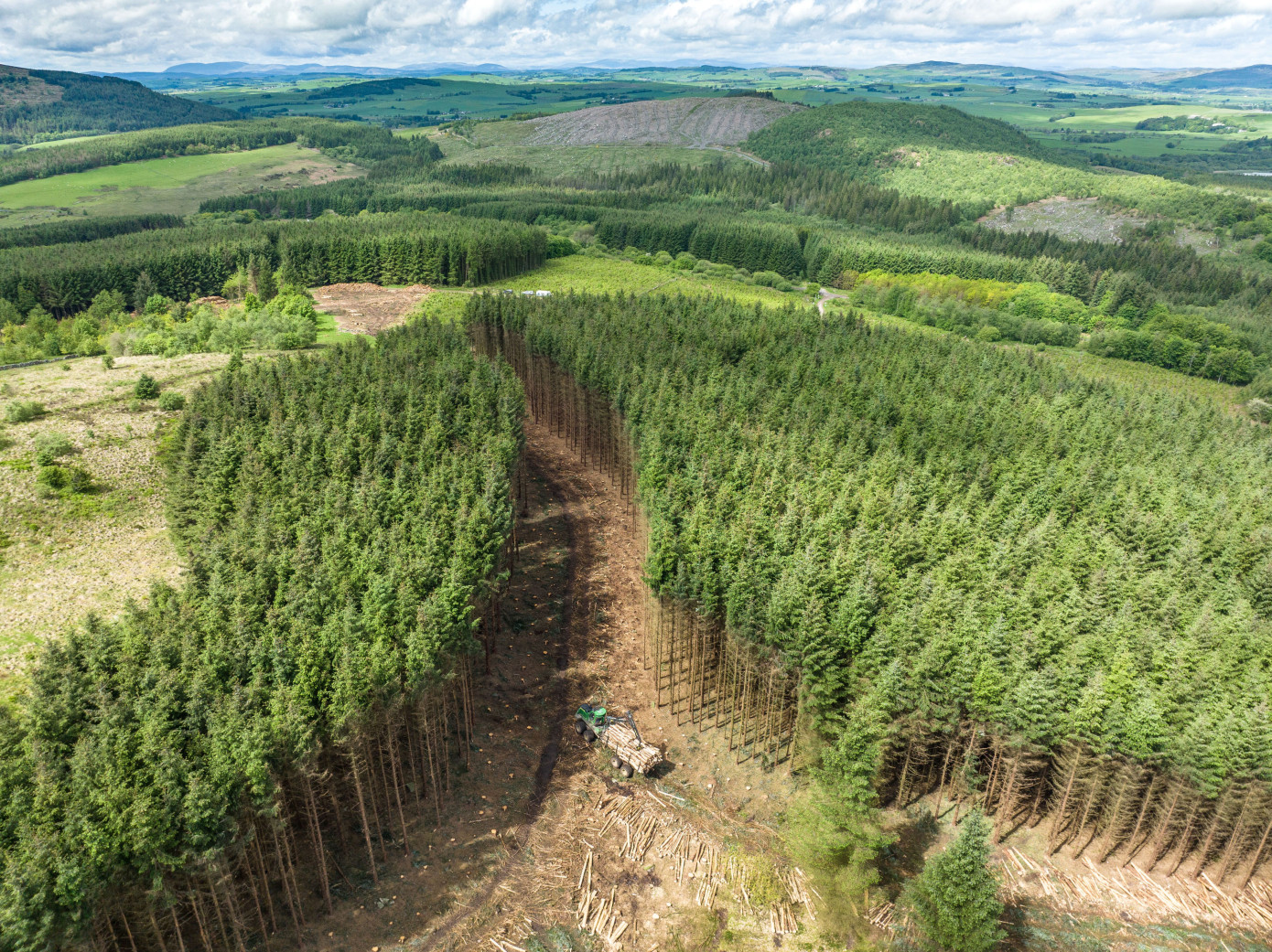 Woodland sales decreased by 55% in the UK