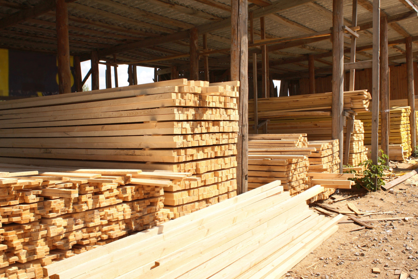 Japanese sawmills increase production by 12% in September 2024