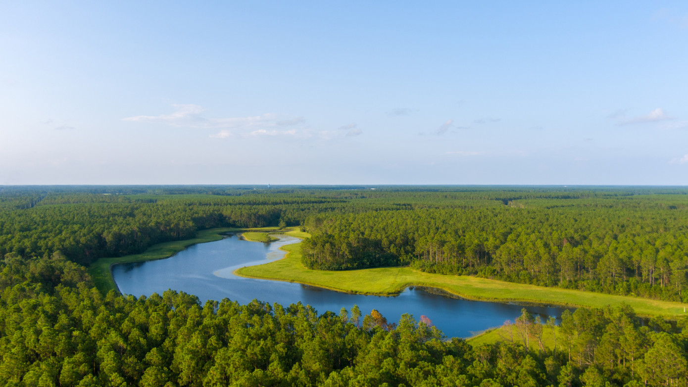 Domain Timber Advisors acquires 22,000 acres of Southeast timberland