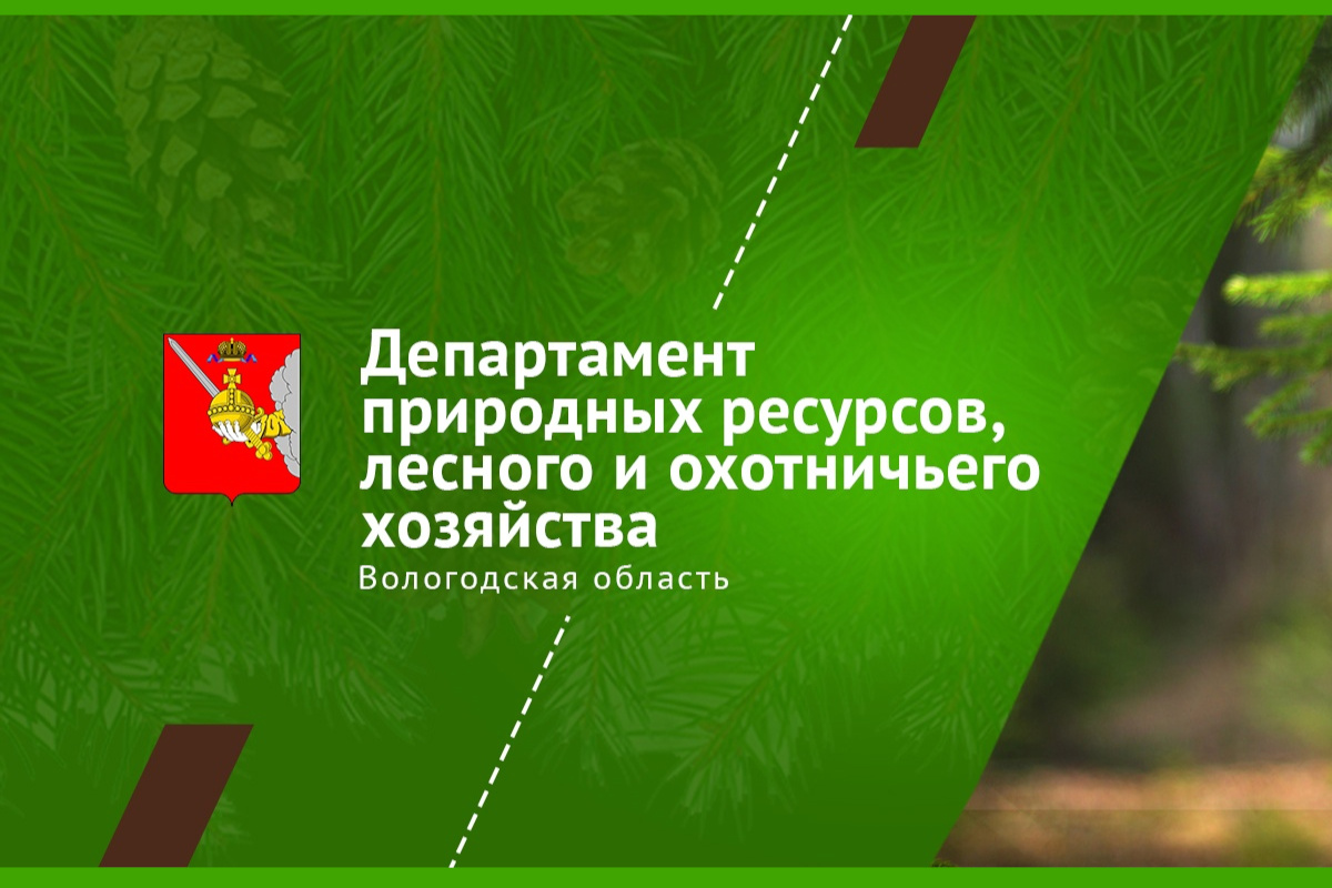 В Вологодской обл. создан Департамент природных ресурсов, лесного и  охотничьего хозяйства