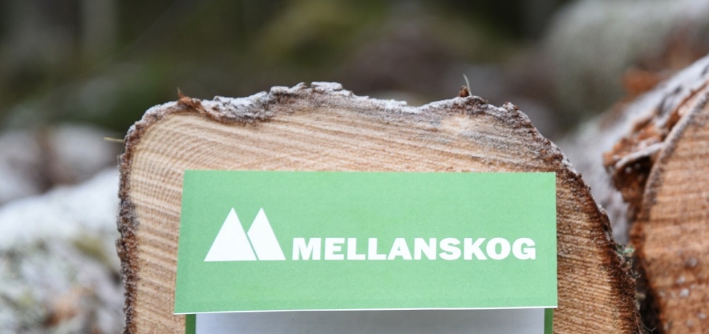 Mellanskog  increases pulpwood prices