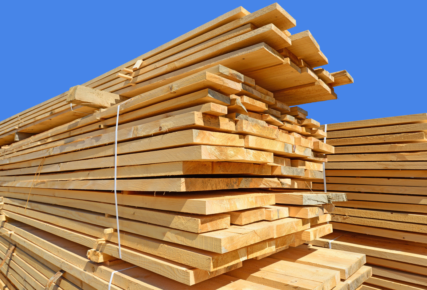 Softwood lumber producer prices fall 5% in January 2025