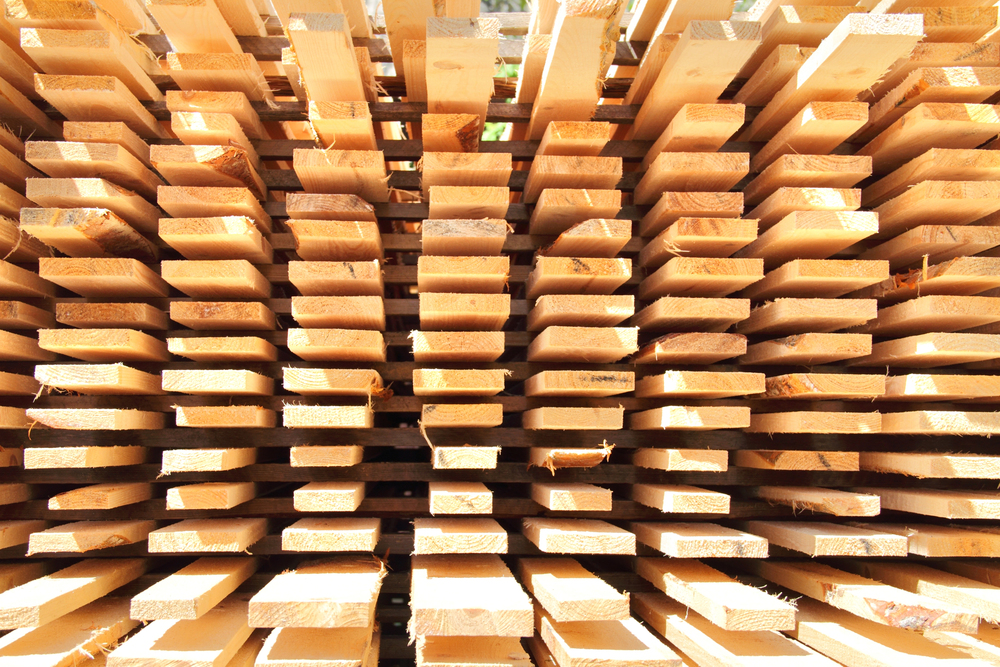 EU lumber exports to Australia fall 7% in 2024