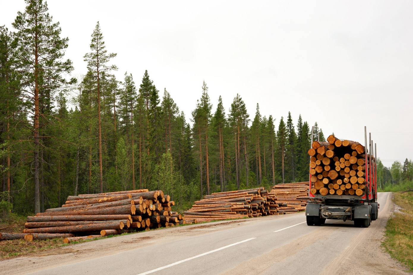 Sveaskog raises timber prices in central Sweden