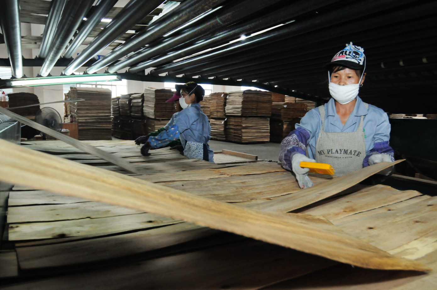 EU opens formal investigation into Chinese hardwood plywood dumping