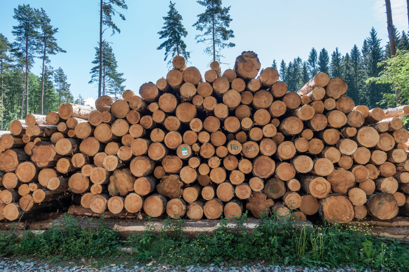 Metsä Group completes divestment of its wood supply business in Estonia