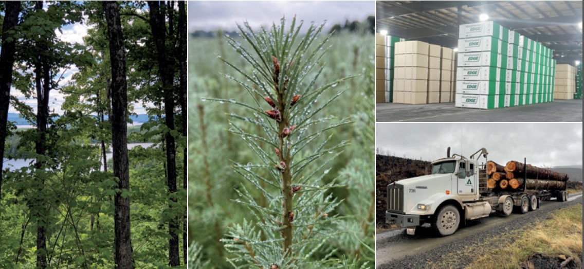 Weyerhaeuser"s 1Q net sales increased to $3.1 billion