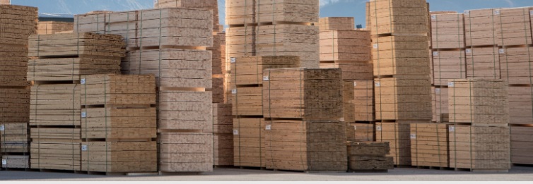 Timber Trade Federation and TRADA to merge