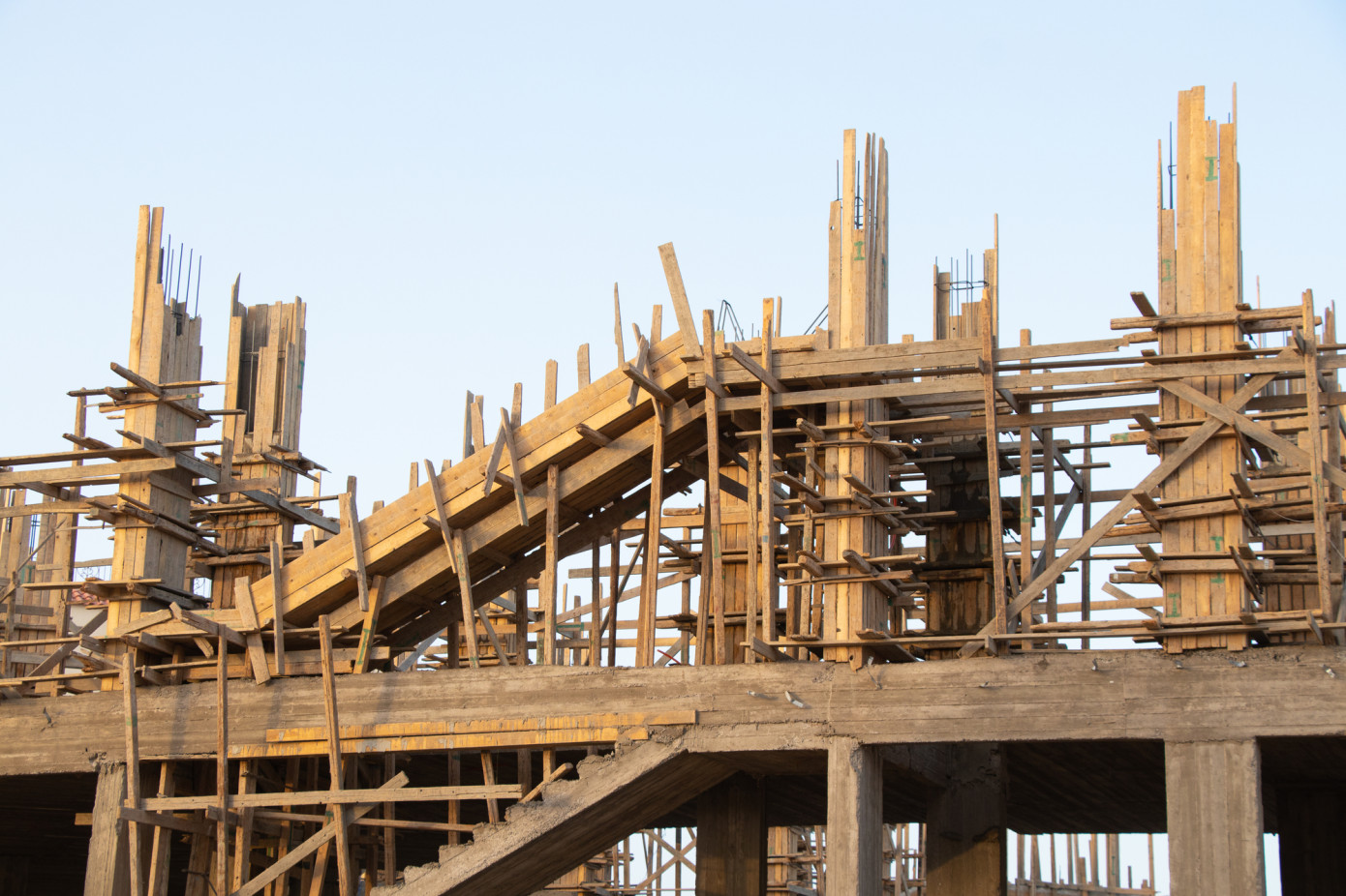 Egypt’s lumber imports rise 16% in November 2024