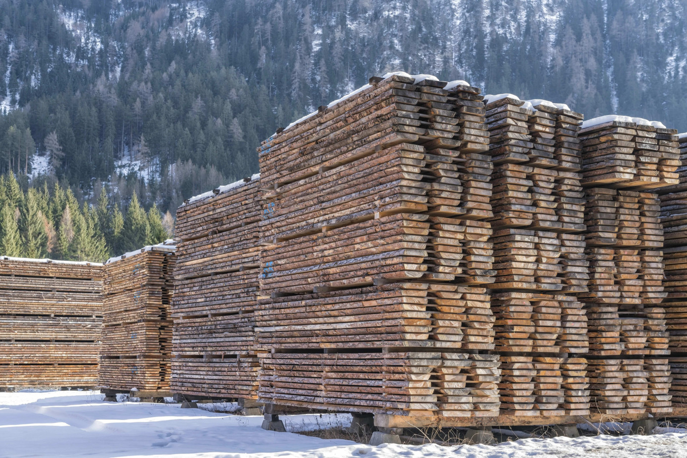 Appalachia’s hardwood industry faces collapse under economic strain