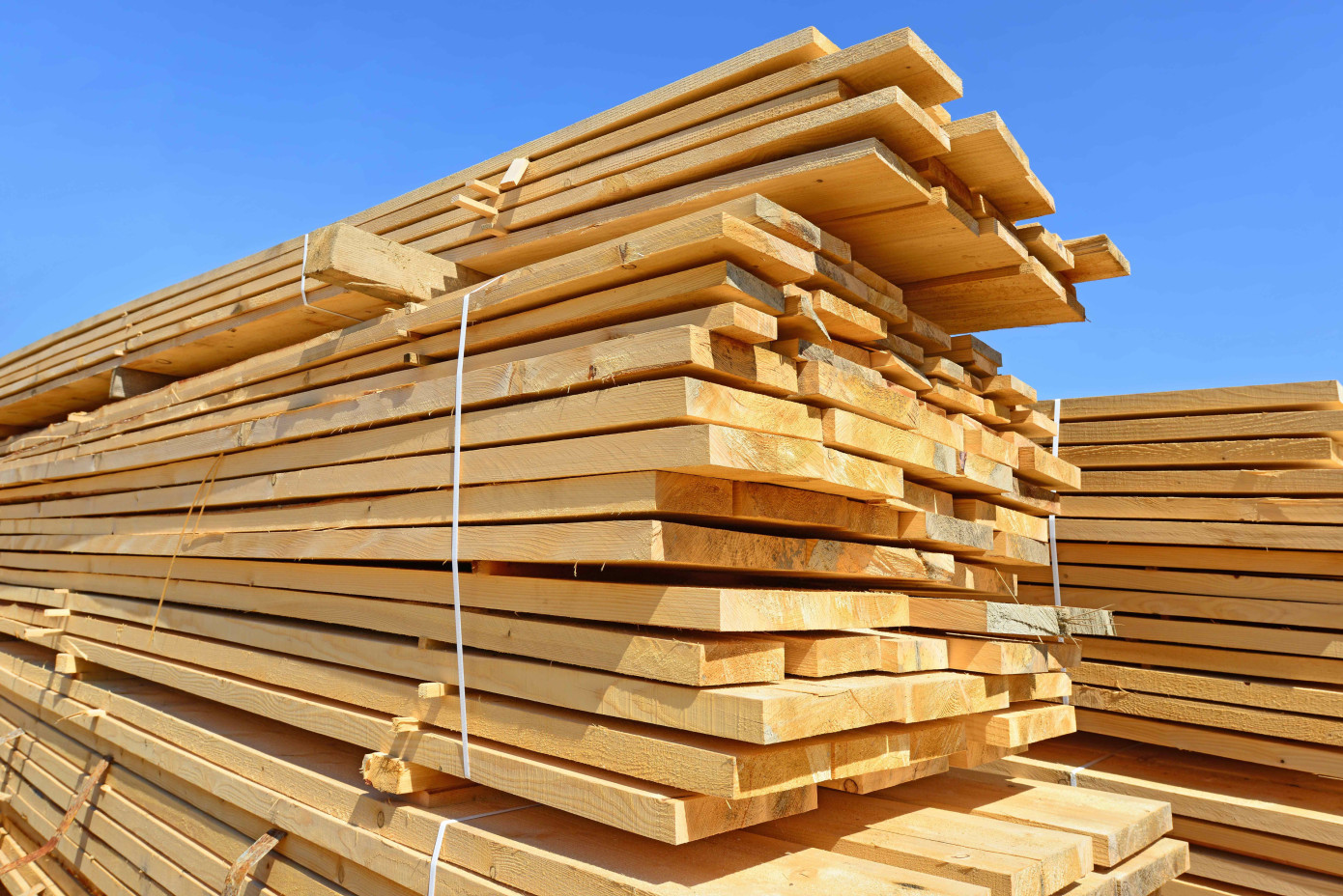 Madison’s Lumber Prices Index increased by 1%