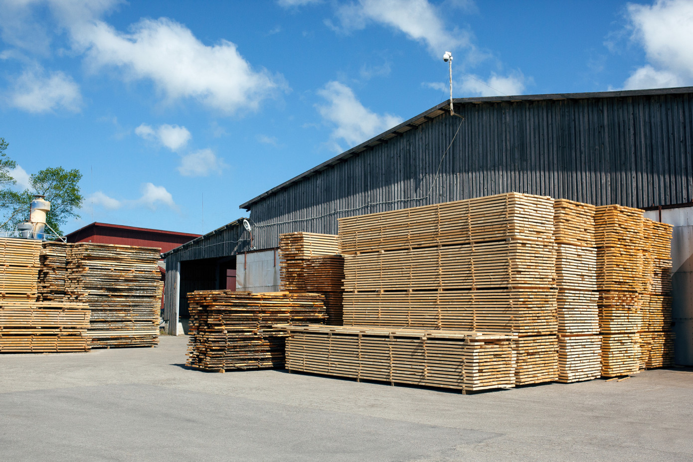 Exports of lumber from New Zealand decrease 28% in January