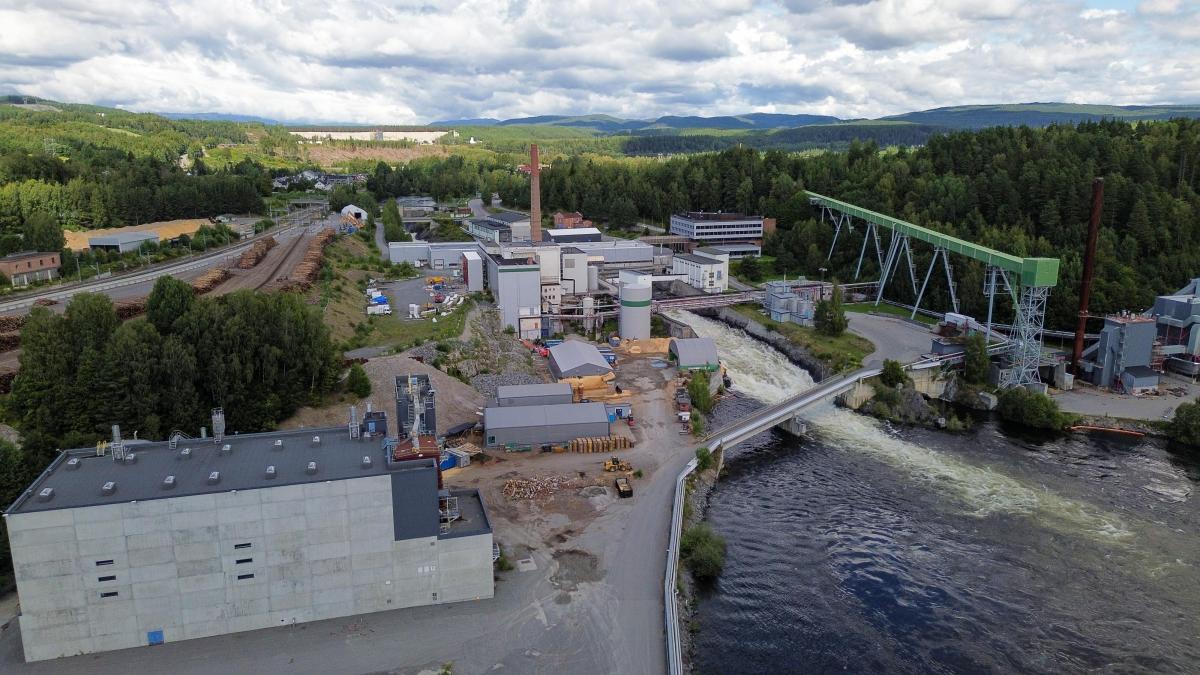 Проект Billerud и Viken Skog не получил одобрения природоохранных структур