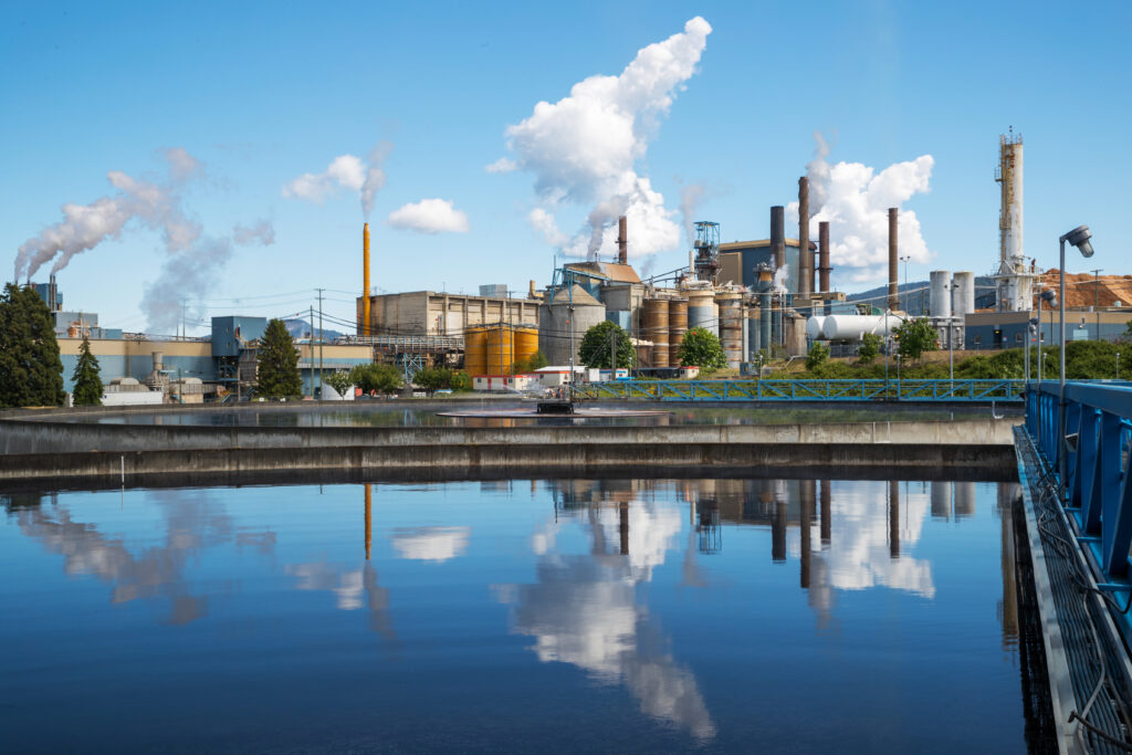 Paper Excellence Canada restarts pulp operations at Catalyst Crofton mill