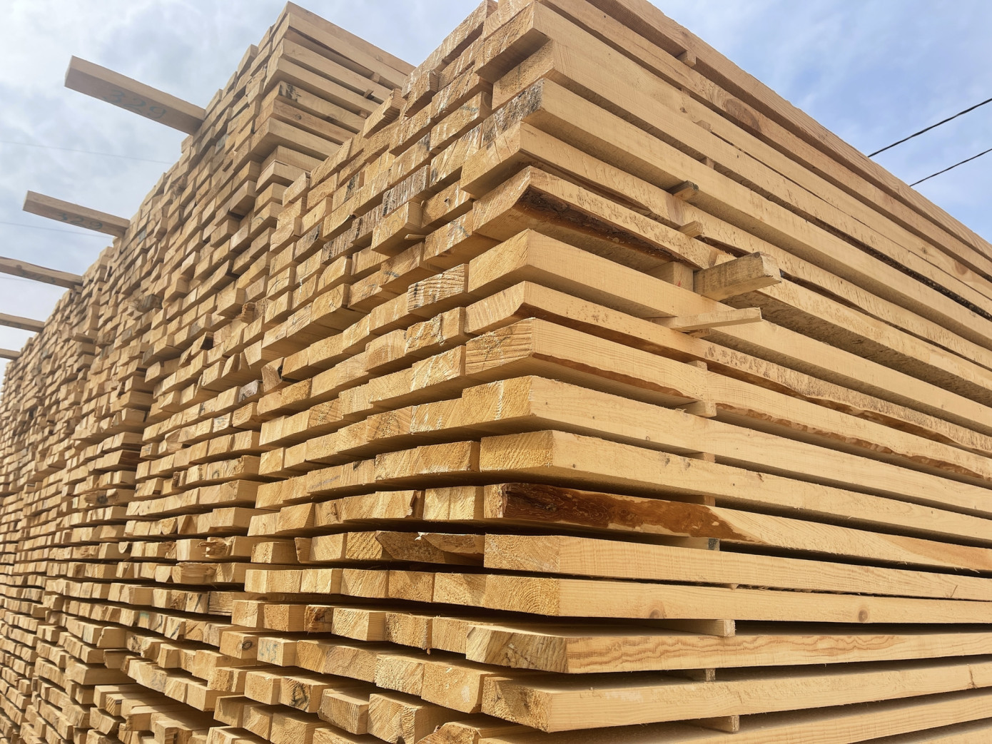 Exports of lumber from Sweden lose 34% in August