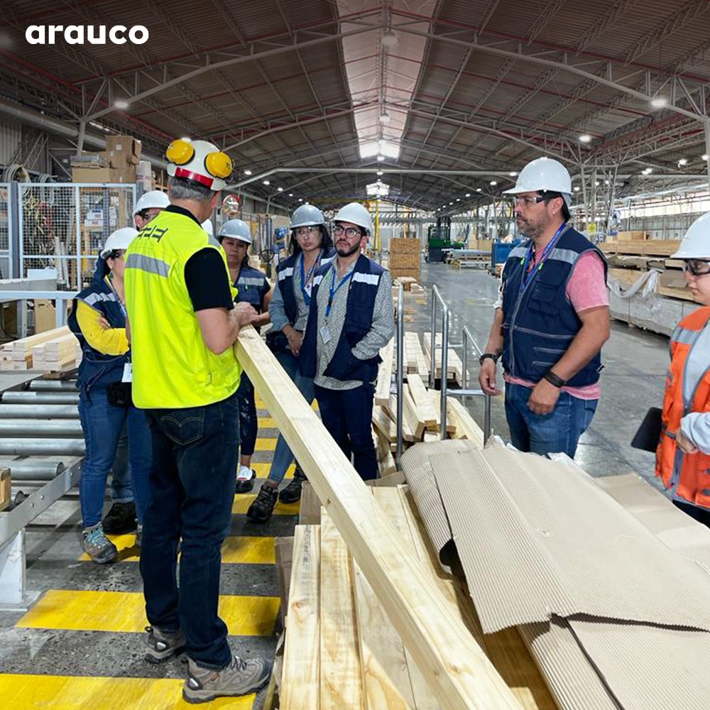 В 4 кв. 2022 г. выручка Arauco снизилась на 8,5%