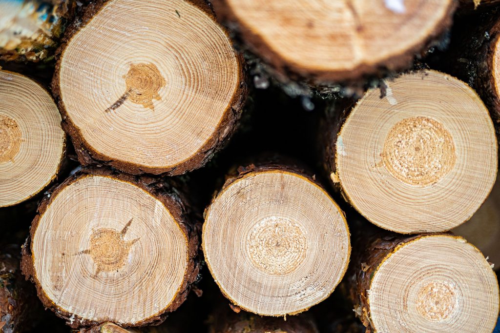 Koskisen invests Euro 15 million in new sawmill in Järvelä, Finland