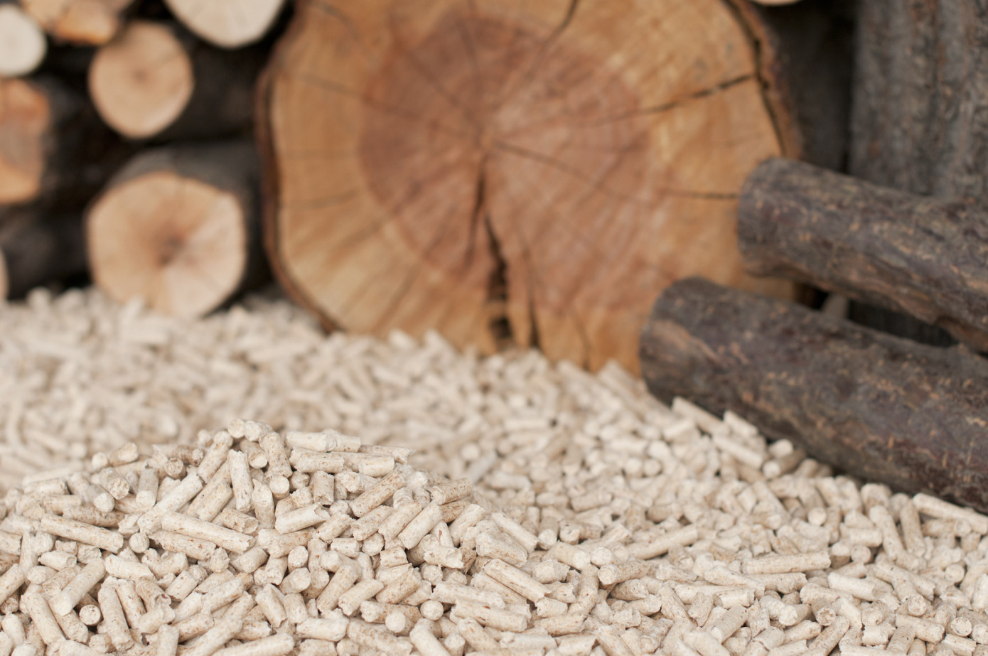 Exports of wood pellets from Vietnam to South Korea grow 49% in May