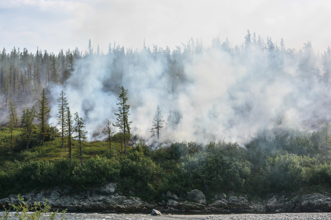 Forest fires devastate Russia in record numbers