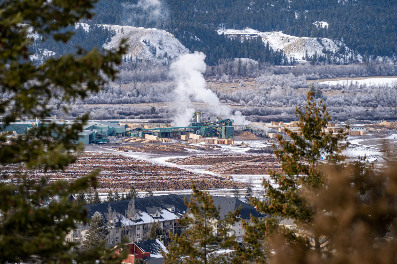 Canfor completes forest  tenure transfer to Indigenous peoples in Canada