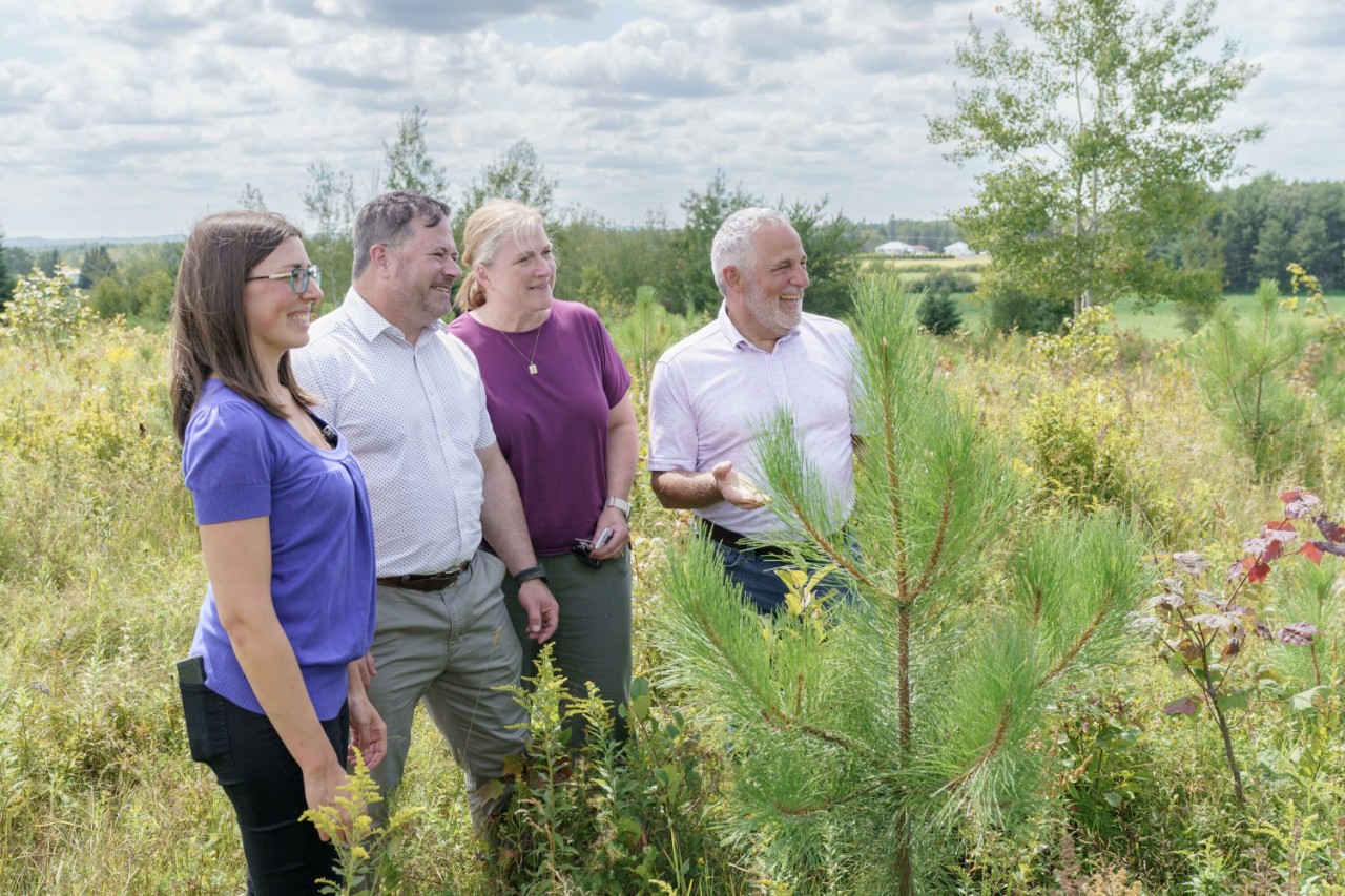 Canada and Ontario increase tree planting capacity to combat climate change