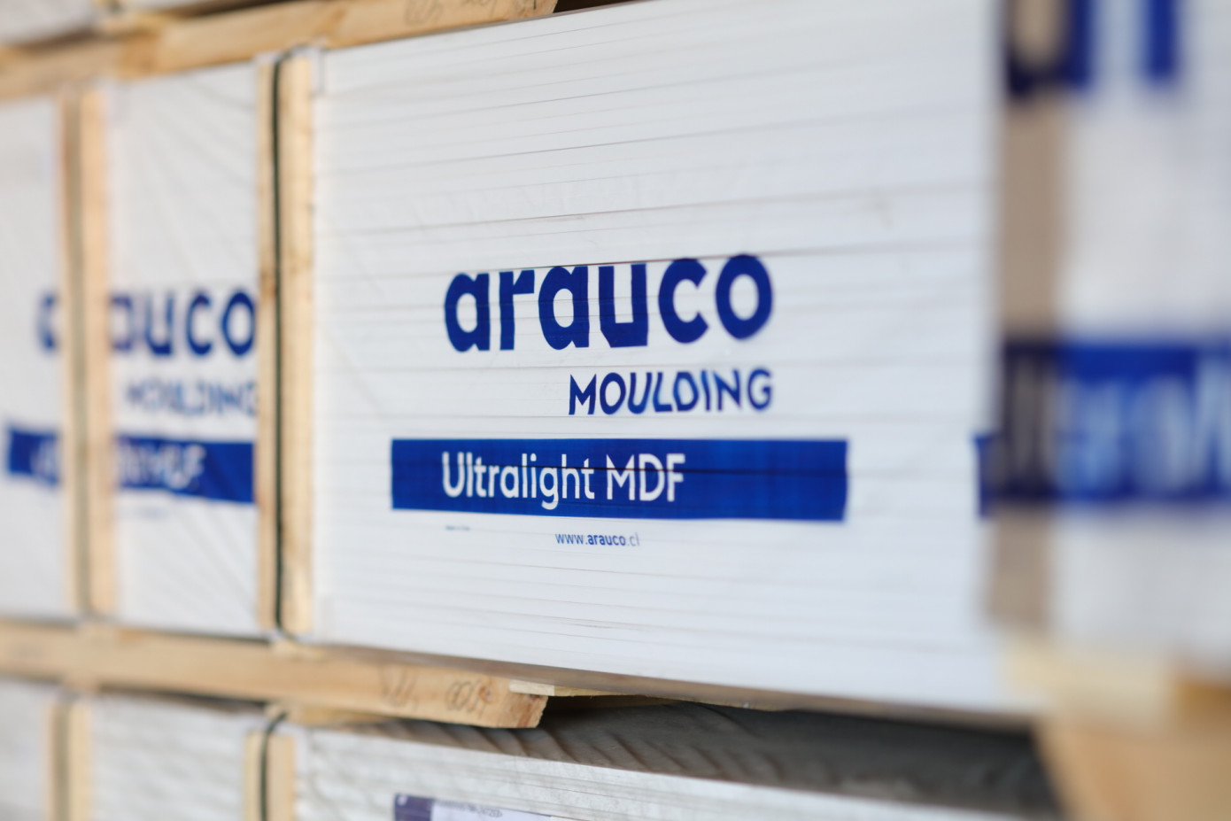 В 4 кв. 2020 г. выручка Arauco выросла на 12,5%