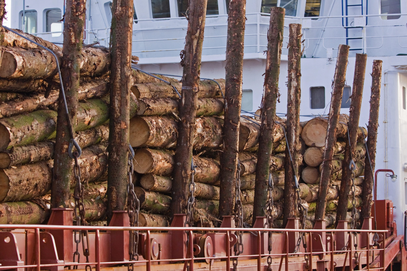 India’s imports of logs surge 89% in May