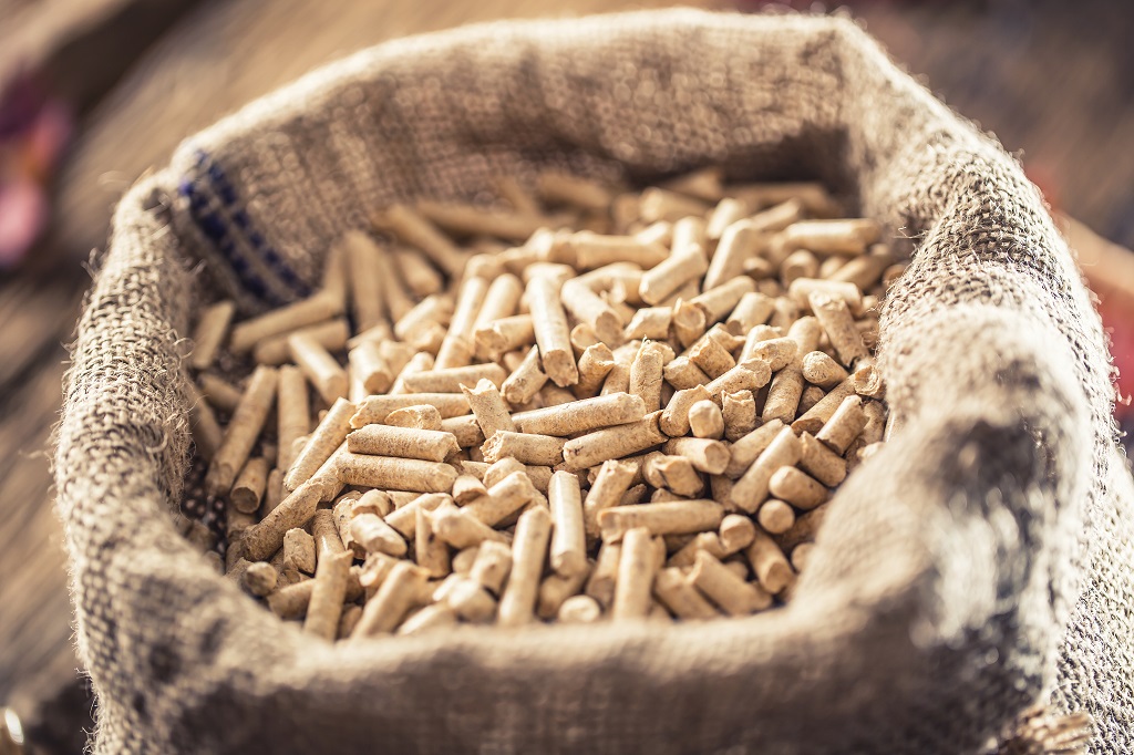 LEAG Group acquires Wismar Pellets in Germany