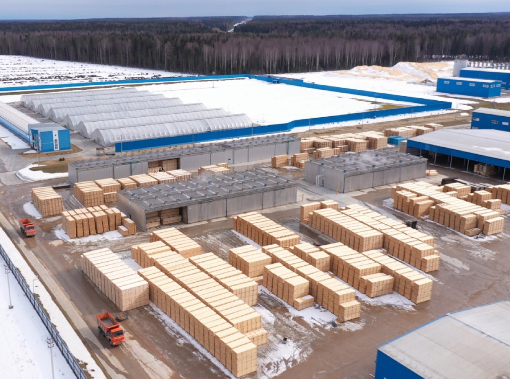 Russia’s largest sawmilling company faces bankruptcy threat due to sanctions