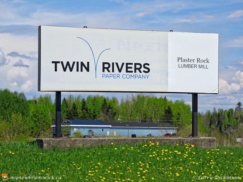 Twin Rivers Paper продаст лесопильный завод на востоке Канады