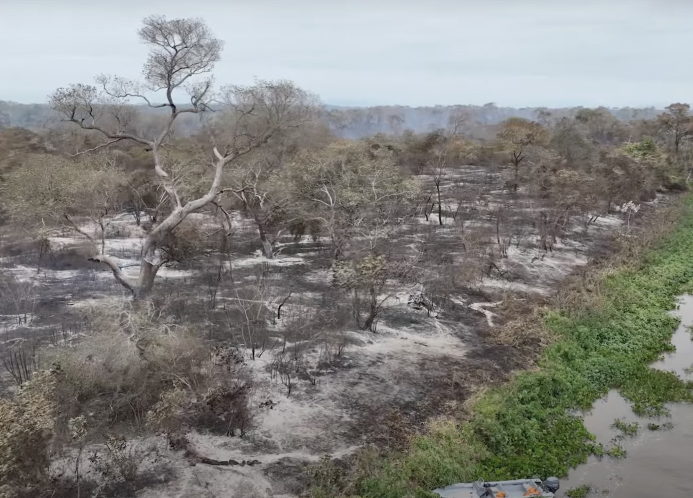 Wildfires devastate world’s largest wetland, impacting CO2 levels and biodiversity