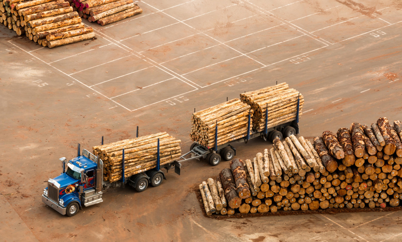 In May, price for logs exported from Lithuania gains 2%